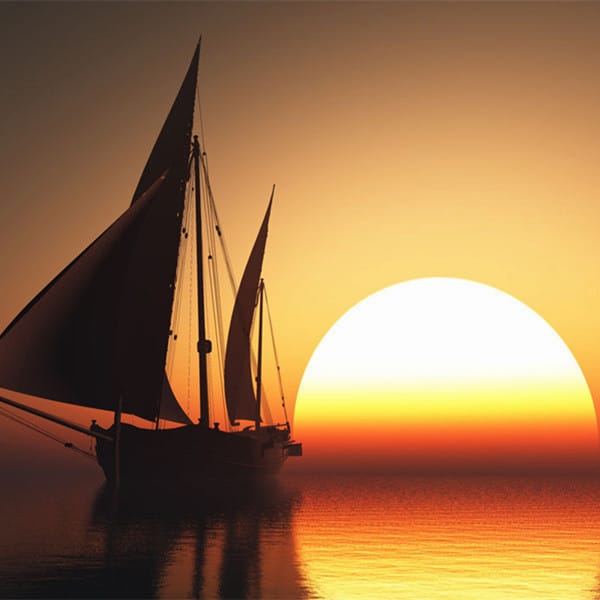 آمنہ شیخ avatar