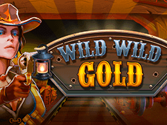 Wild Wild Gold screenshot