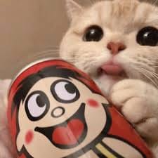 اسماویہ اقبال avatar